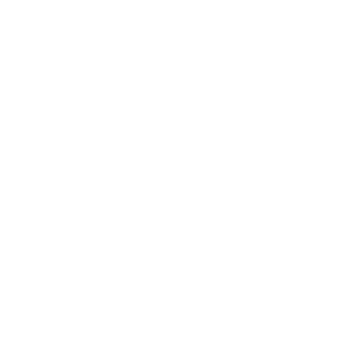 WhatsApp Icon